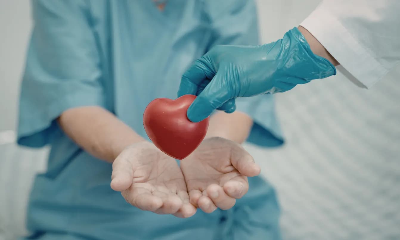 Newsbeitrag Organspende